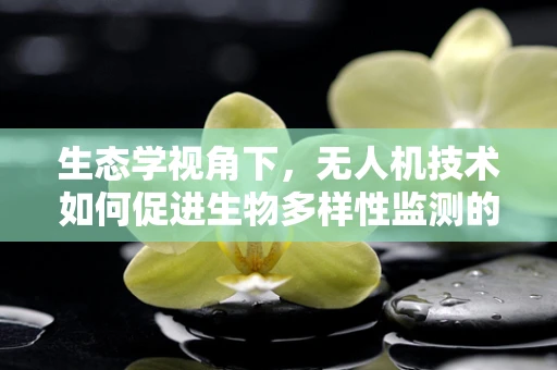 生态学视角下，无人机技术如何促进生物多样性监测的飞跃？