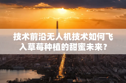 技术前沿无人机技术如何飞入草莓种植的甜蜜未来？