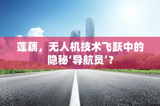 莲藕，无人机技术飞跃中的隐秘‘导航员’？