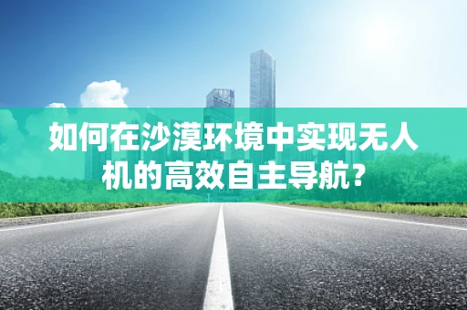 如何在沙漠环境中实现无人机的高效自主导航？