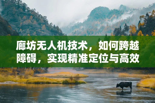 廊坊无人机技术，如何跨越障碍，实现精准定位与高效飞行？