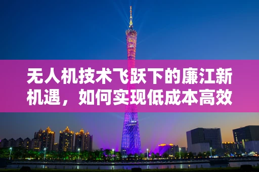 无人机技术飞跃下的廉江新机遇，如何实现低成本高效能？