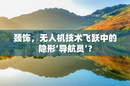颈饰，无人机技术飞跃中的隐形‘导航员’？