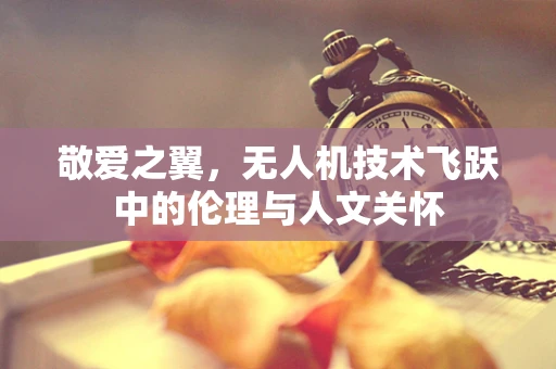 敬爱之翼，无人机技术飞跃中的伦理与人文关怀