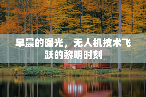 早晨的曙光，无人机技术飞跃的黎明时刻