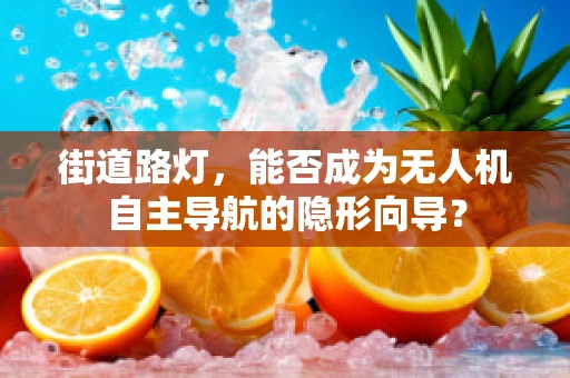 街道路灯，能否成为无人机自主导航的隐形向导？