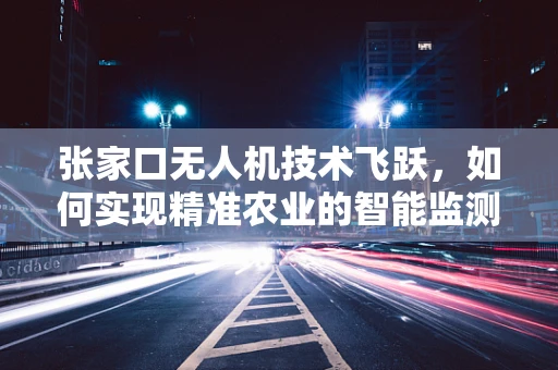 张家口无人机技术飞跃，如何实现精准农业的智能监测？