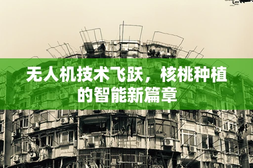 无人机技术飞跃，核桃种植的智能新篇章