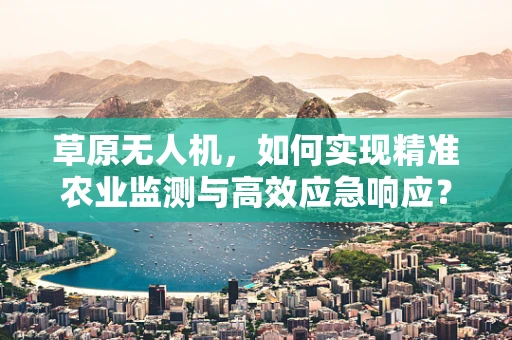 草原无人机，如何实现精准农业监测与高效应急响应？