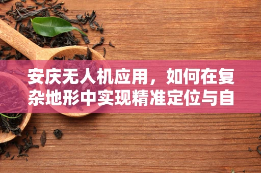 安庆无人机应用，如何在复杂地形中实现精准定位与自主导航的飞跃？