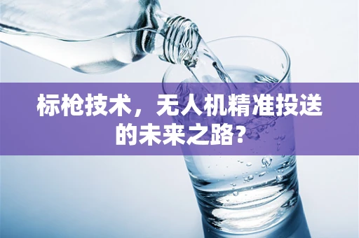 标枪技术，无人机精准投送的未来之路？