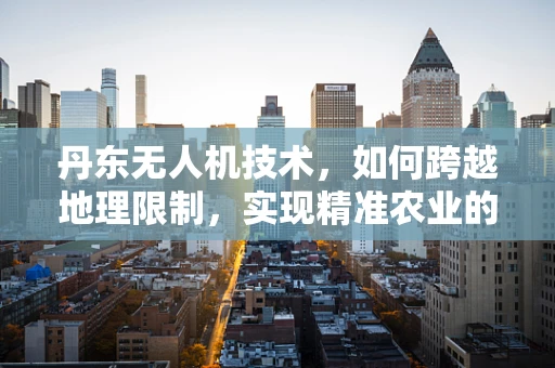 丹东无人机技术，如何跨越地理限制，实现精准农业的飞跃？