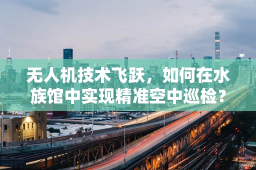 无人机技术飞跃，如何在水族馆中实现精准空中巡检？