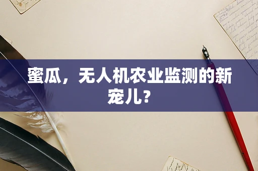 蜜瓜，无人机农业监测的新宠儿？