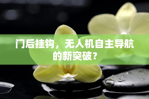 门后挂钩，无人机自主导航的新突破？