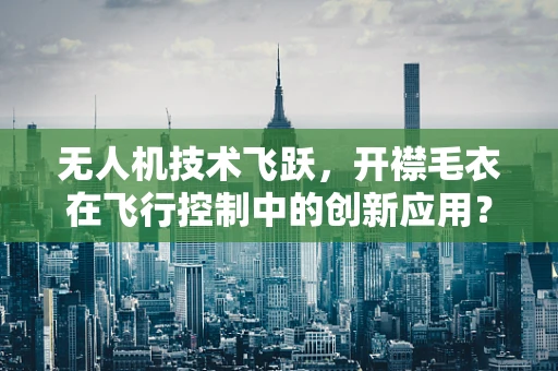 无人机技术飞跃，开襟毛衣在飞行控制中的创新应用？
