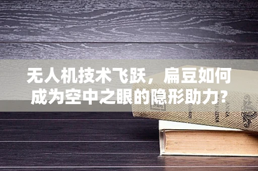 无人机技术飞跃，扁豆如何成为空中之眼的隐形助力？