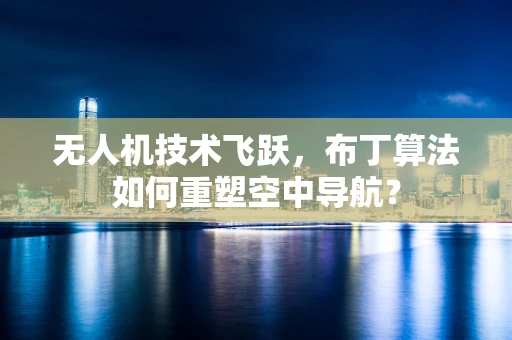 无人机技术飞跃，布丁算法如何重塑空中导航？