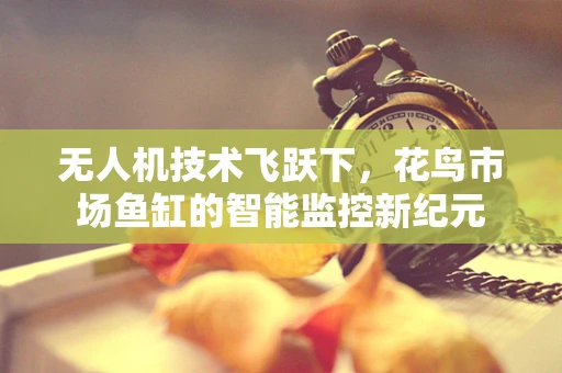 无人机技术飞跃下，花鸟市场鱼缸的智能监控新纪元