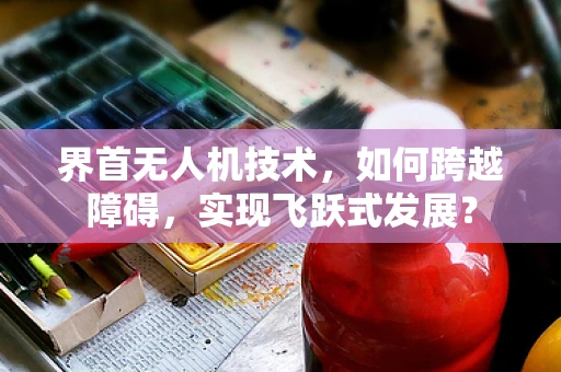 界首无人机技术，如何跨越障碍，实现飞跃式发展？
