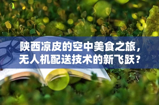 陕西凉皮的空中美食之旅，无人机配送技术的新飞跃？