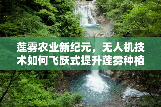 莲雾农业新纪元，无人机技术如何飞跃式提升莲雾种植效率？