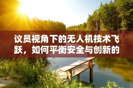 议员视角下的无人机技术飞跃，如何平衡安全与创新的边界？