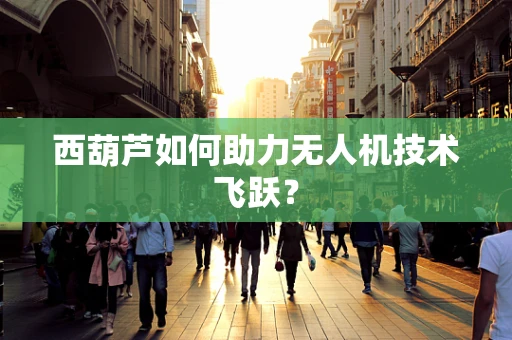 西葫芦如何助力无人机技术飞跃？
