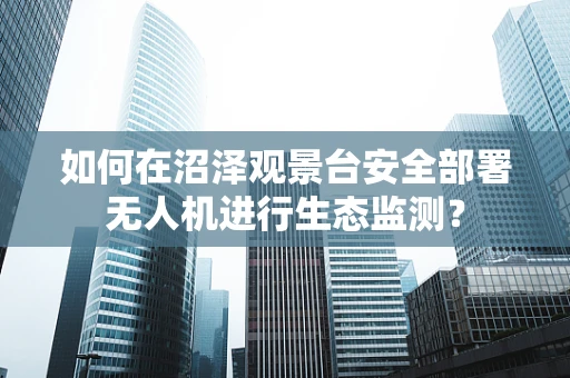 如何在沼泽观景台安全部署无人机进行生态监测？