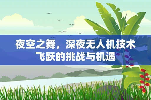 夜空之舞，深夜无人机技术飞跃的挑战与机遇