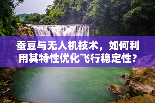 蚕豆与无人机技术，如何利用其特性优化飞行稳定性？