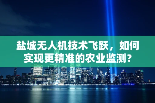 盐城无人机技术飞跃，如何实现更精准的农业监测？