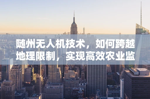 随州无人机技术，如何跨越地理限制，实现高效农业监测？