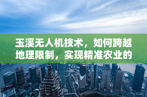 玉溪无人机技术，如何跨越地理限制，实现精准农业的飞跃？