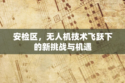 安检区，无人机技术飞跃下的新挑战与机遇