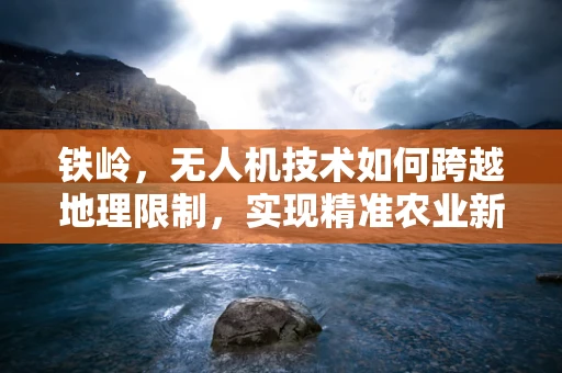 铁岭，无人机技术如何跨越地理限制，实现精准农业新飞跃？