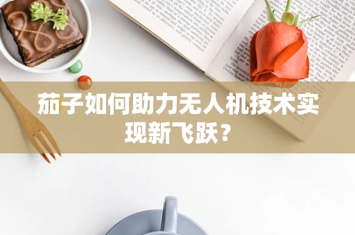 茄子如何助力无人机技术实现新飞跃？