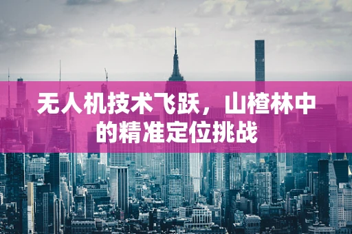 无人机技术飞跃，山楂林中的精准定位挑战