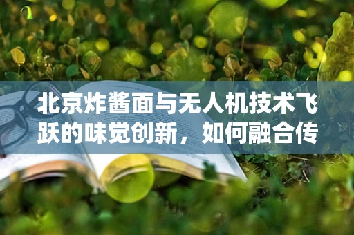 北京炸酱面与无人机技术飞跃的味觉创新，如何融合传统美食文化与现代飞行技术？