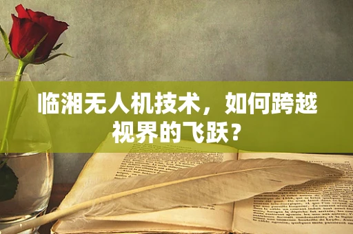 临湘无人机技术，如何跨越视界的飞跃？