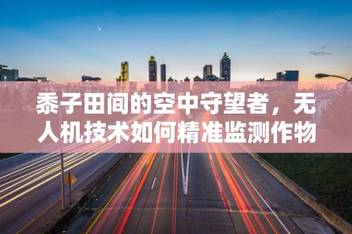 黍子田间的空中守望者，无人机技术如何精准监测作物生长？