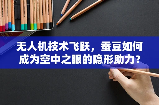 无人机技术飞跃，蚕豆如何成为空中之眼的隐形助力？