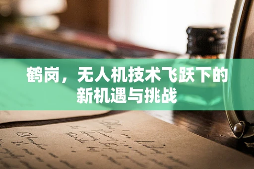 鹤岗，无人机技术飞跃下的新机遇与挑战