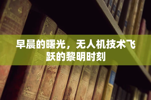 早晨的曙光，无人机技术飞跃的黎明时刻