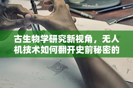 古生物学研究新视角，无人机技术如何翻开史前秘密的篇章？
