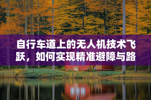 自行车道上的无人机技术飞跃，如何实现精准避障与路径规划？