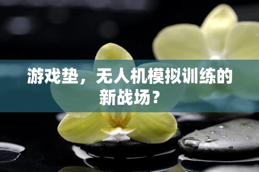 游戏垫，无人机模拟训练的新战场？