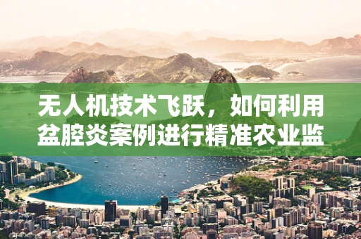 无人机技术飞跃，如何利用盆腔炎案例进行精准农业监测？