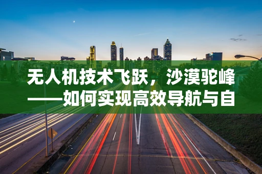 无人机技术飞跃，沙漠驼峰——如何实现高效导航与自主避障？