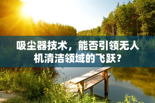 吸尘器技术，能否引领无人机清洁领域的飞跃？
